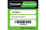 Śrubka WS Kawasaki