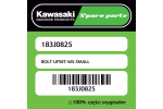 Śrubka WS Kawasaki