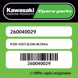 FUSE-ASSY,SLOW-BLOW,6
