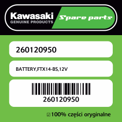 BATTERY,FTX14-BS,12V
