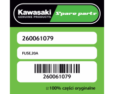 FUSE,20A