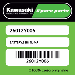 BATTERY,38B19L-MF