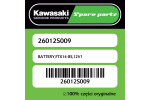 BATTERY,FTX14-BS,12V1