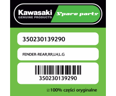FENDER-REAR,RR,LH,L.G