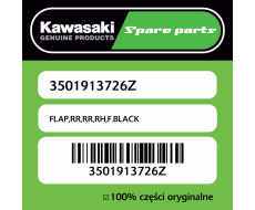 FLAP,RR,RR,RH,F.BLACK