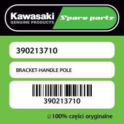 BRACKET-HANDLE POLE