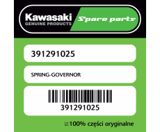 SPRING-GOVERNOR