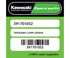 TENSIONER-COMP-GENERA