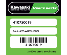 BALANCER-WHEEL,10G,SI