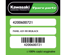 PANEL ASY-RR BR,BLACK