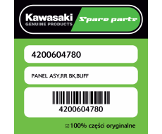 PANEL ASY,RR BK,BUFF