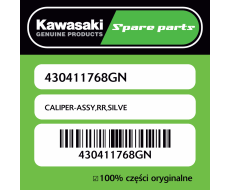 CALIPER-ASSY,RR,SILVE