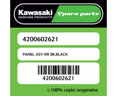 PANEL ASY-RR BK,BLACK