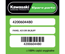 PANEL ASY,RR BK,BUFF