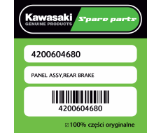 PANEL ASSY,REAR BRAKE