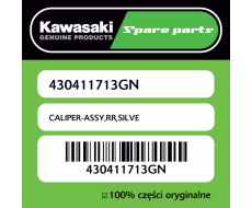 CALIPER-ASSY,RR,SILVE