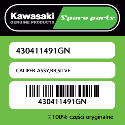 CALIPER-ASSY,RR,SILVE