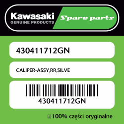 CALIPER-ASSY,RR,SILVE