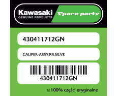 CALIPER-ASSY,RR,SILVE