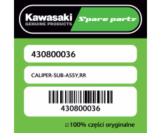 CALIPER-SUB-ASSY,RR