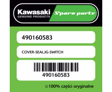 COVER-SEAL,IG-SWITCH