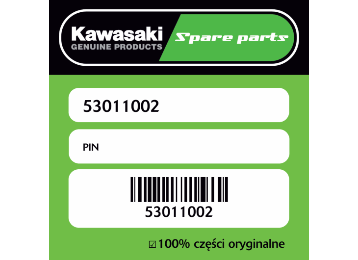 PIN