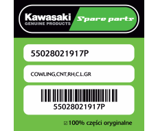Owiewka centralna prawa C.L.GR Kawasaki
