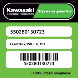 COWLING,LWR,RH,C.P.BL