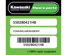 Owiewka dolna prawa EBONY Kawasaki