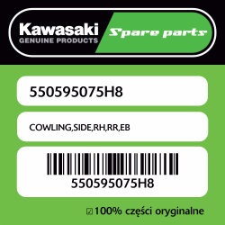 COWLING,SIDE,RH,RR,EB