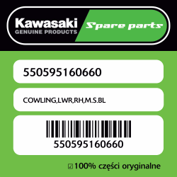 COWLING,LWR,RH,M.S.BL