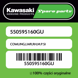 COWLING,LWR,RH,M.P.SI