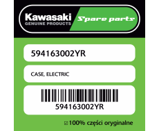 CASE, ELECTRIC