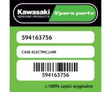 CASE-ELECTRIC,LWR