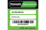 Łożysko kulkowe Kawasaki