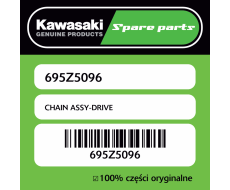 CHAIN ASSY-DRIVE