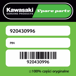 PIN