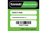 CHAIN,DRIVE,EK520LV-O