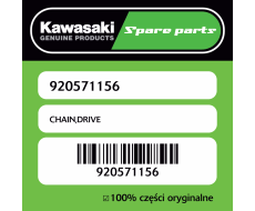 CHAIN,DRIVE