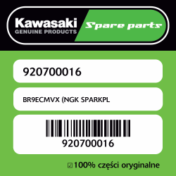 BR9ECMVX (NGK SPARKPL