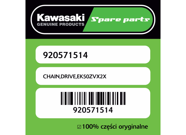 CHAIN,DRIVE,EK50ZVX2X