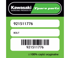 Śruba Kawasaki