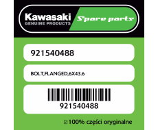 BOLT,FLANGED,6X43.6