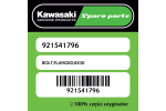 Śruba z kołnierzem 8X30 Kawasaki