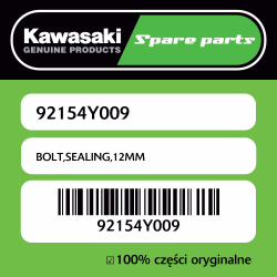 BOLT,SEALING,12MM