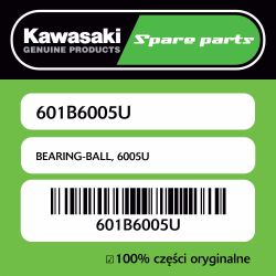 BEARING-BALL, 6005U