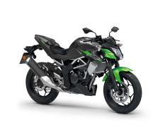 Accessories SE Sport Pack Z125 Candy Lime Green / Metallic Spark Black 2024
