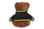 Teddy bear Kawasaki