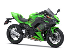 Pakiet SE Performance Ninja 650 Lime green/Ebony 2024