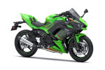 Пакет SE Performance Ninja 650 Lime green/Ebony 2024